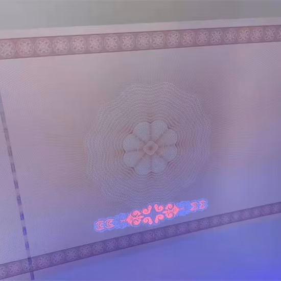 Genuíno Original Mimaki UV